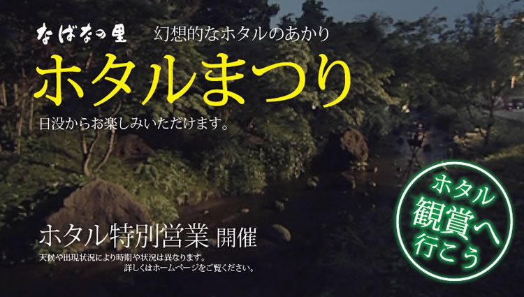 幻想的な光に酔いしれて♡
「なばなの里ホタルまつり」

